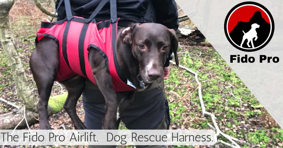 fido pro airlift dog rescue harness