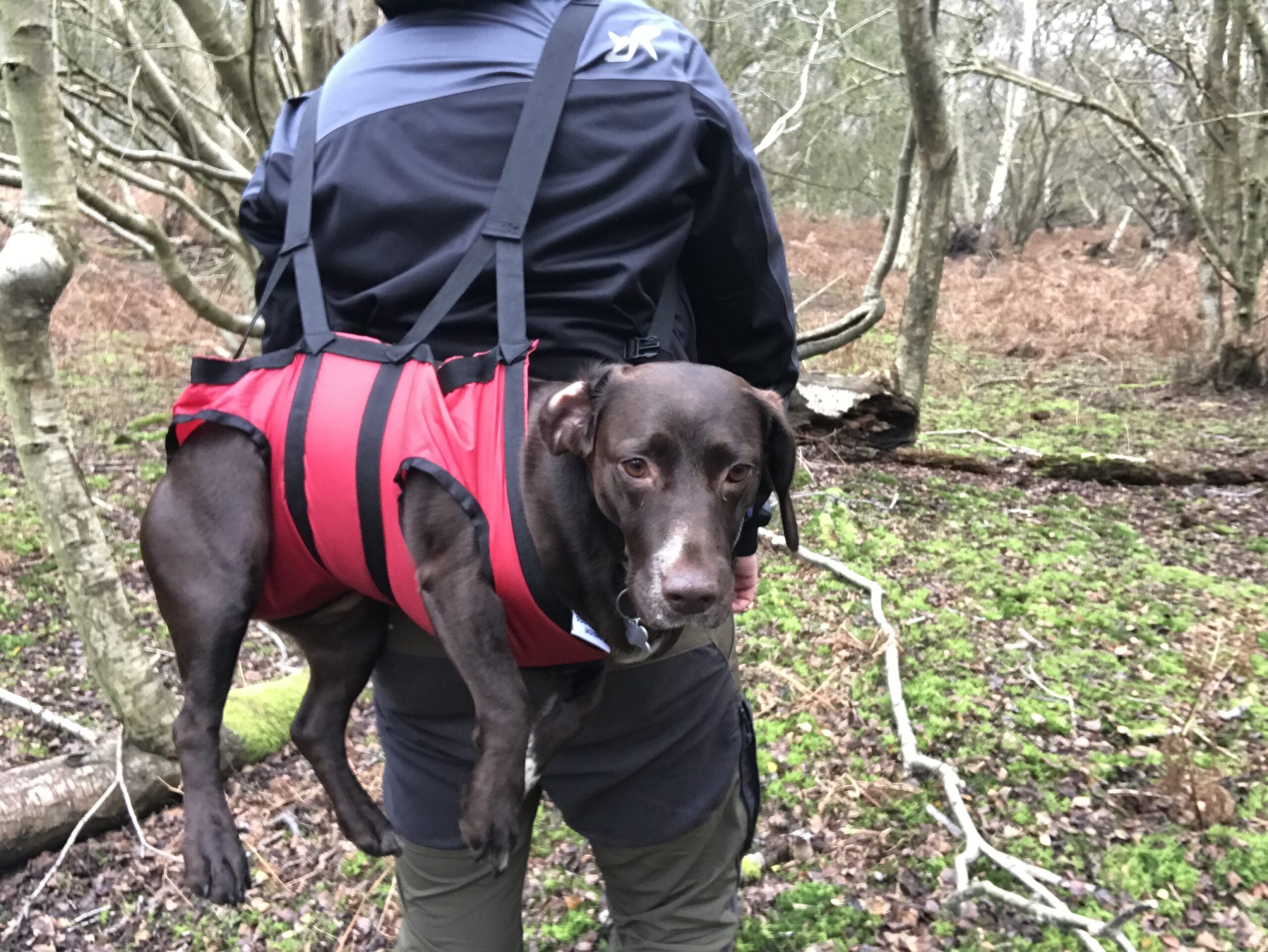 Fido Pro Airlift Harness Dog Rescue Harness. Vildmark.co.uk