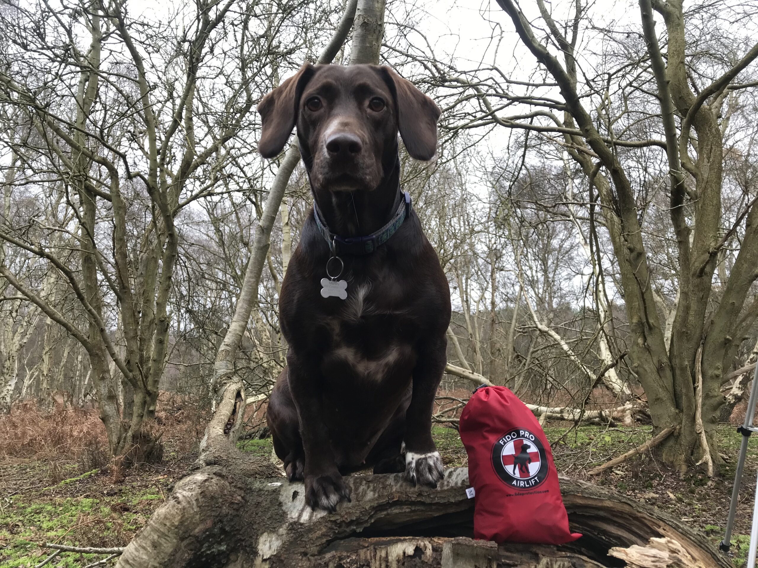 Rescue Pro Carrier 15 Fido Pro Airlift Dog Rescue Sling Large