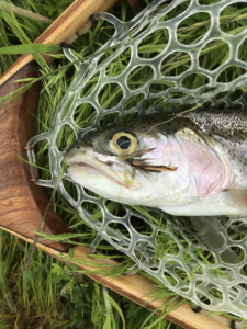 Handmade Trout Nets by EdenMADE for Fly fishing. 