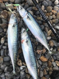 Fishing for Mackerel in North Norfolk