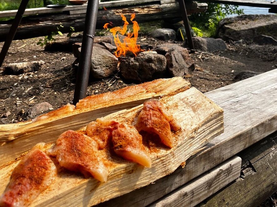 Glaskogen Wild brown trout